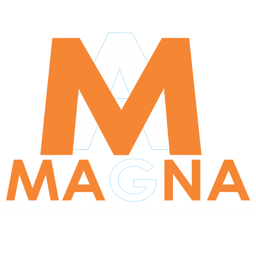 MAGNA ASESORES Y CONSULTORES INTEGRALES